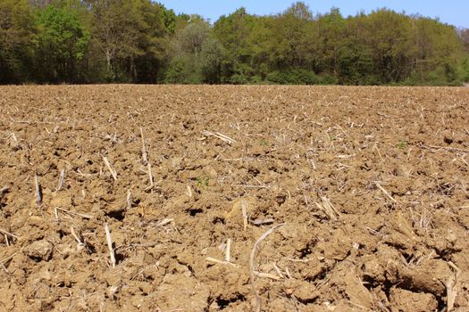 ground plowed for an organic farming for the sowing of spring with a horizon raised on a blue sky