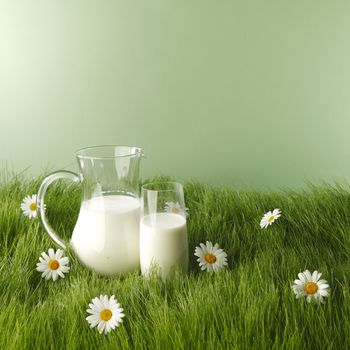 Milk in jar and glass on fresh grass meadow with chamomiles