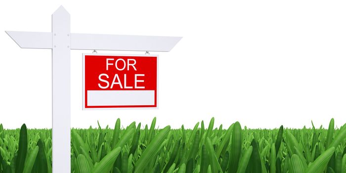 Sign for sale with green grass and white background