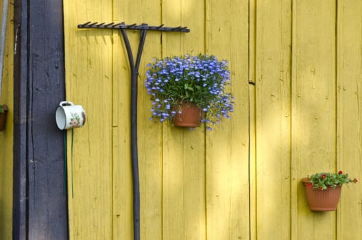 old garden rake and flowerpots with flowers on old wooden wall
