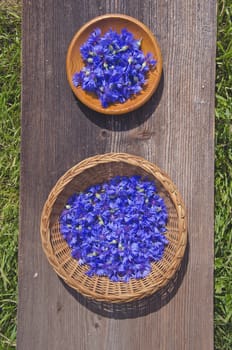 fresh cornflower flowers for tea in two wooden plate