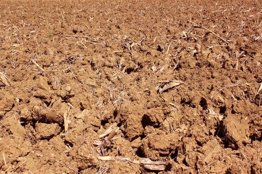 ground plowed for the sowing of spring for an organic farming