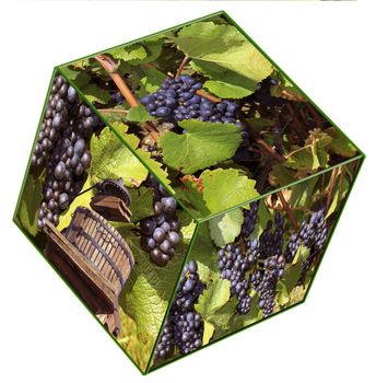 Fruits, grapes and vines on a cube