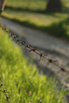 Section of barbed wire fence, Est Europe, Romania.
