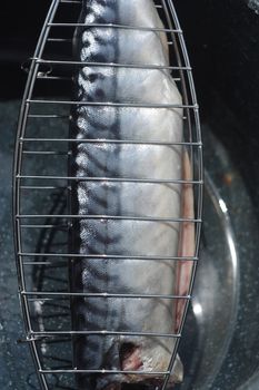 Barbecuing fish (mackerel) on charcoal fire closeup image.
