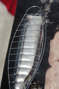 Barbecuing fish (mackerel) on charcoal fire closeup image.
