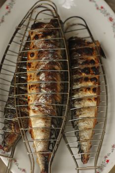 Barbecuing fish (mackerel) on charcoal fire closeup image.
