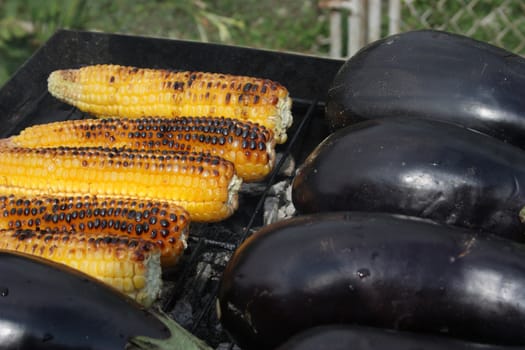 Barbecuing vegetables on charcoal fire closeup image.
