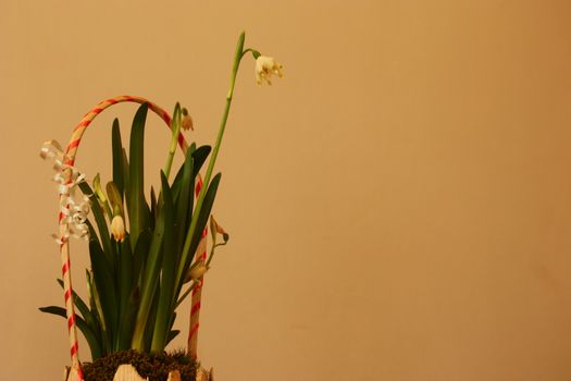 Flower arrangement with snowdrops, Galanthus nivalis.