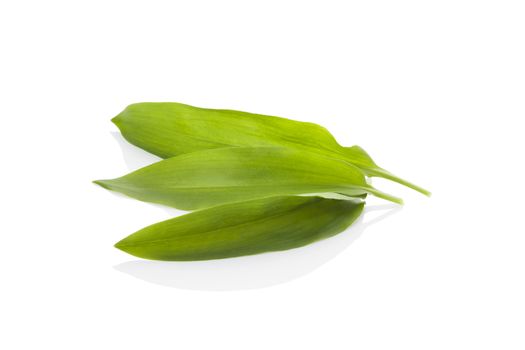 Wild garlic leaves isolated on white background. Spring detox, healthy eating. 