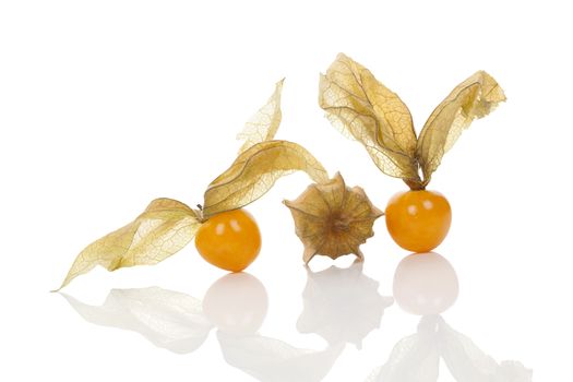 Physalis, ground cherry isolated on white background. Tropical healthy fruit eating. 