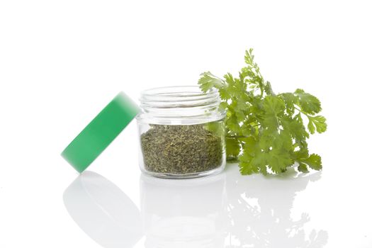 Fresh cilantro and dry coriander spice in glass jar isolated on white background. Culinary healthy aromatic herbs. Culinary arts.