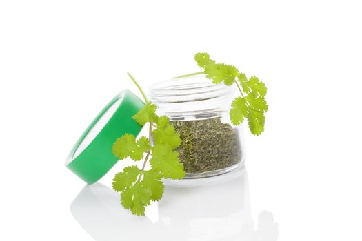 Fresh cilantro and dry coriander spice in glass jar isolated on white background. Culinary healthy aromatic herbs. Culinary arts.