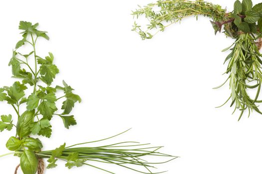 Culinary herbs background with copy space. Fresh basil, cilantro, chive, parsley and mint herbs isolated on white background, top view. Modern, minimal image style.