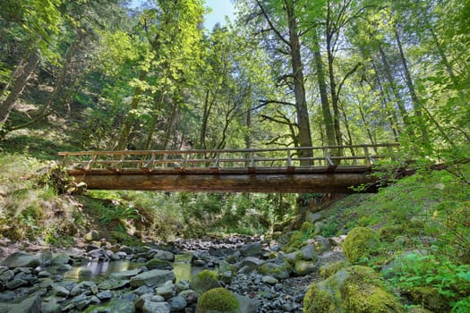 Wood Log Bridge Structure Over Gorton Creek Hiking Trail in Columbia River Gorge Oregon