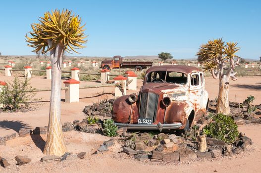FISH RIVER CANYON, NAMIBIA - JUNE 17, 2011: A rusted old car in a succulent garden between flowering quiver trees at a lodge near the Fish River Canyon