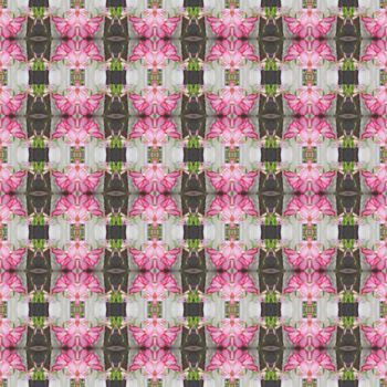 Pentagram flowers, flowers into bushes, 
petals have shades from dark to light seamless use as pattern and wallpaper.