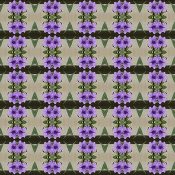 Ruellia tuberosa Linn  bright purple in full bloom seamless use as pattern and wallpaper.