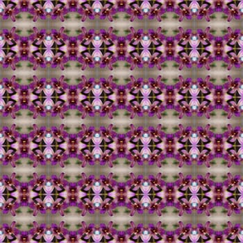 Purple orchid grown in a hanging basket in front of the house seamless use as pattern and wallpaper.