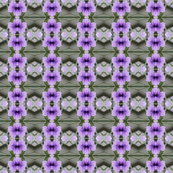 Ruellia tuberosa Linn, bright purple in full bloom seamless use as pattern and wallpaper.