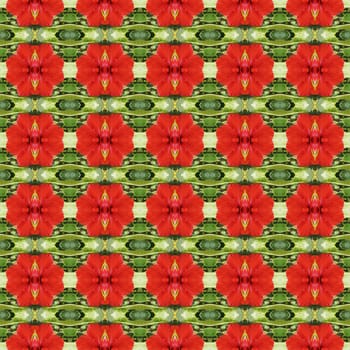 Full bloom of red hibiscus flower seamless use as pattern and wallpaper