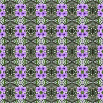 Ruellia tuberosa Linn, bright purple in full bloom seamless use as pattern and wallpaper.