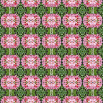 Pentagram flowers, flowers into bushes, 
petals have shades from dark to light seamless use as pattern and wallpaper.