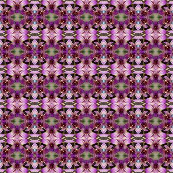 Purple orchid grown in a hanging basket in front of the house seamless use as pattern and wallpaper.