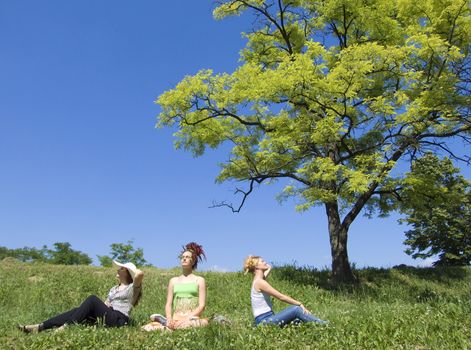 three women sitting under tree








tree women sitting under tree