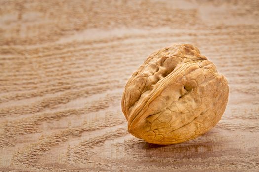 English walnut - a single nut against cedar wood plank with a copy space