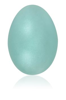 powder blue egg