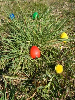 easter eggs outdoor in meadow