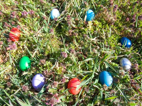 easter eggs outdoor in meadow