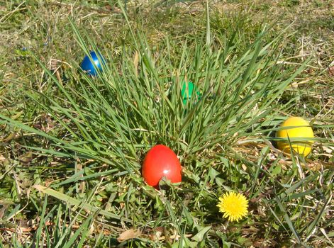 easter eggs outdoor in meadow