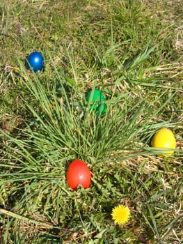 easter eggs outdoor in meadow