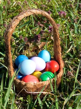 easter egg outdoor in basket in meadow