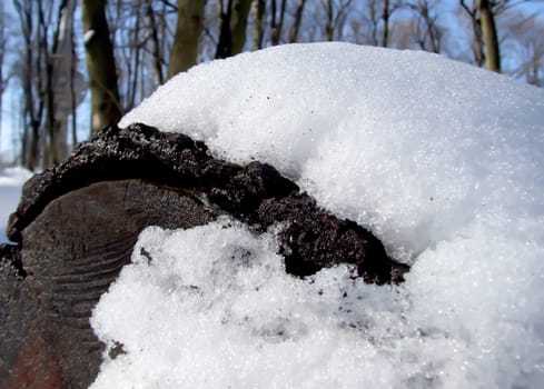 snow on wood