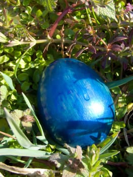 easter egg outdoor in meadow