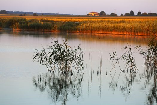 Early morning, sunrise over lake Durankulak, Bulgaria