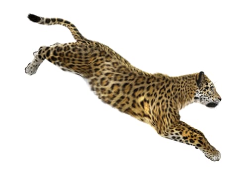 3D digital render of a big cat jaguar jumping isolated on white background