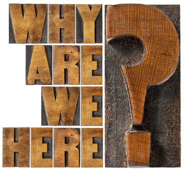 why are we here philosophical and spiritual question - isolated word abstract in letterpress wood type blocks