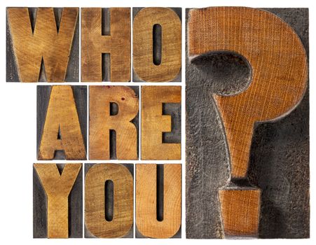 who are you question - isolated word abstract in letterpress wood type blocks