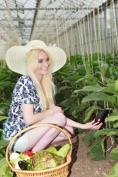 Stylish Blond Young Woman Wearing Straw Hat, Harvesting Healthy Fresh Vegetables In the Farm with Happy Facial Expression.