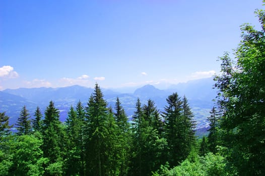 Forest and mountains conceptual image. Picture of forest in mountains and clean sky.