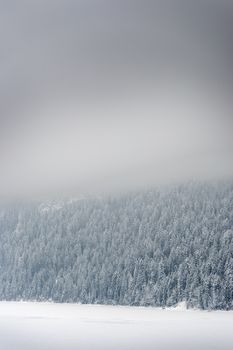 Image of a forest with snow on a cold day in Bavaria in January with free space