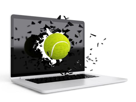 tennis ball destroy laptop