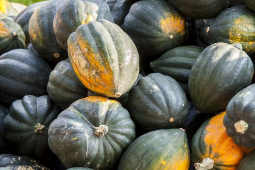 Mesa Queen Eichelkürbis Winterhorn cucurbita pumpkin pumpkins from autumn harvest on a market