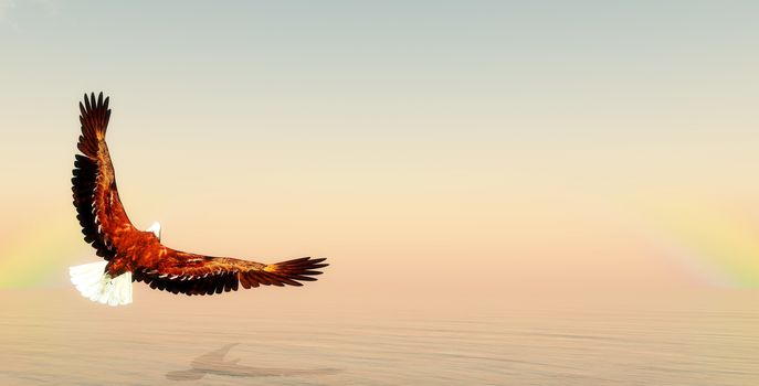 Eagle flying upon ocean by morning light - 3D render