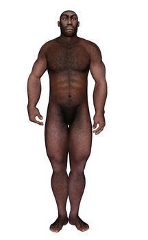 Male homo erectus standing isolated in white background - 3D render