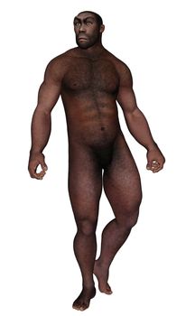 Male homo erectus looking aside isolated in white background - 3D render